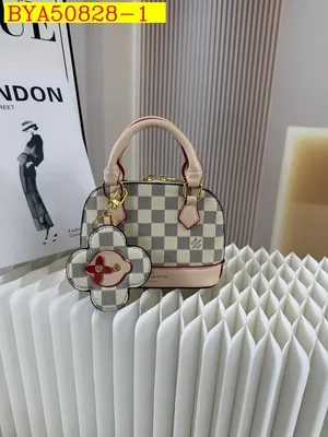 Louis Vuitton jj Wallet bag 18x13x8cm