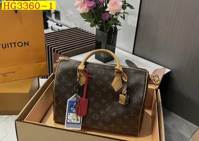 LV Speedy 30 Handbag