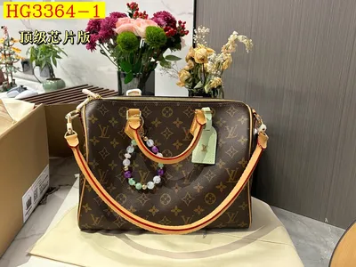 LV Speedy 30 Leather Handbag