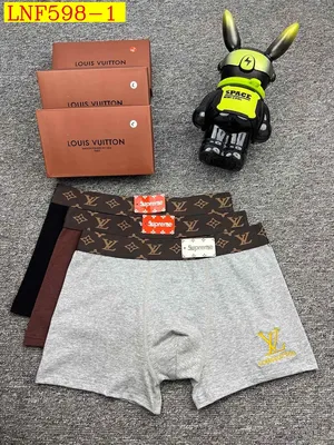 Lv supreme Underwear