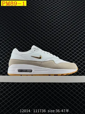 Nike Air Max 1 TS