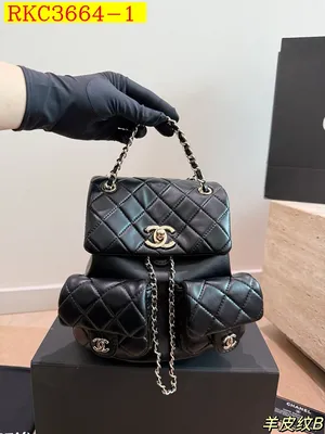 Chanel Backpack bag