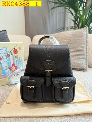 LV Backpack bag