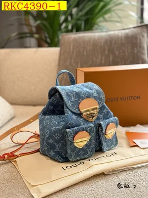 LV Backpack bag