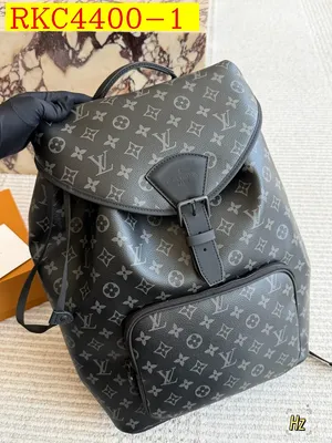 LV Backpack bag