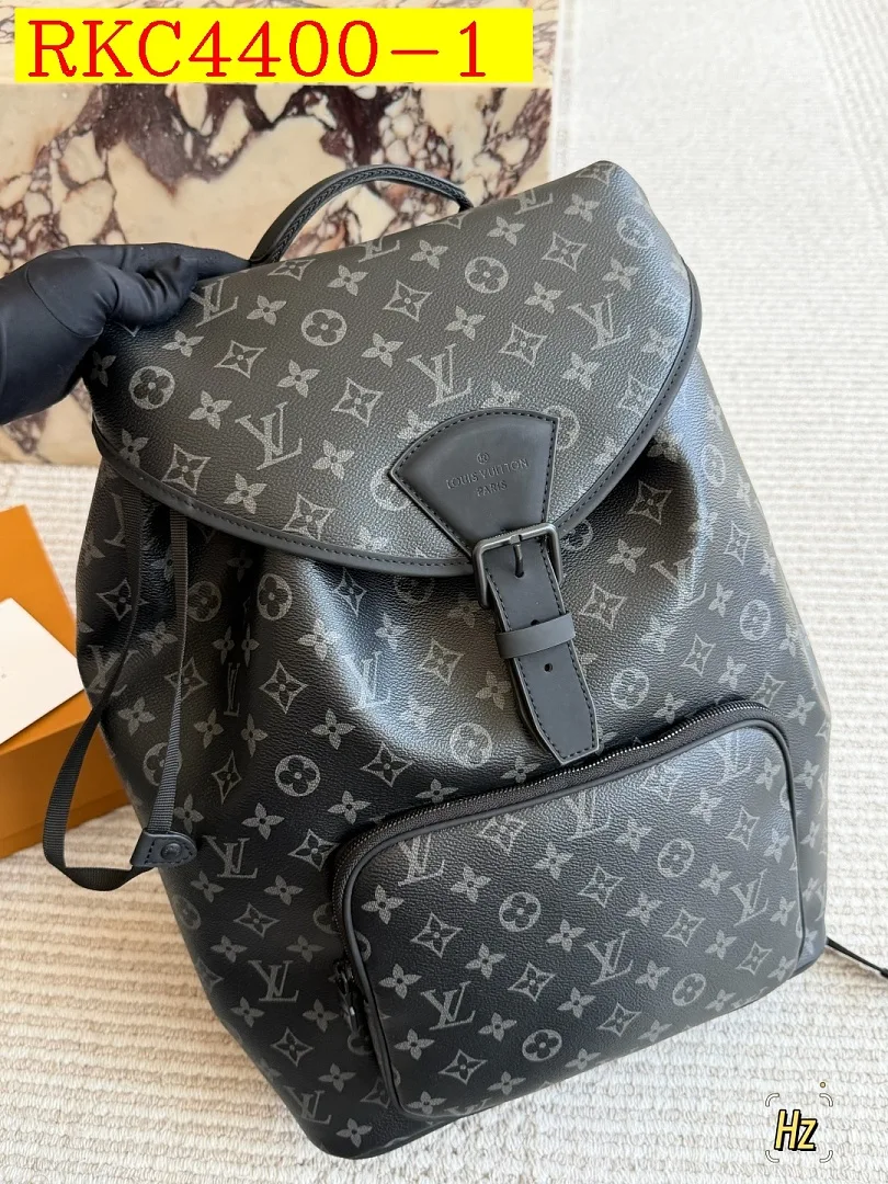 LV Backpack bag