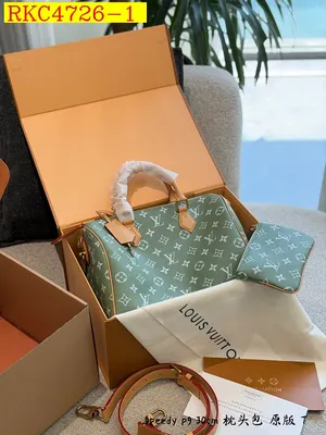 LV Speedy handbag
