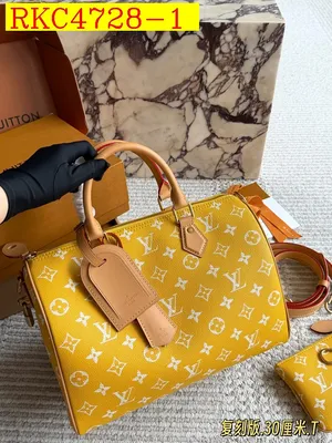 LV Speedy handbag
