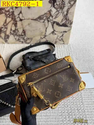 LV Trunk handbag