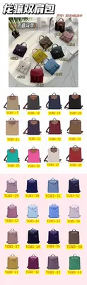 Longchamp Backpack bag