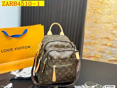 LV Backpack bag